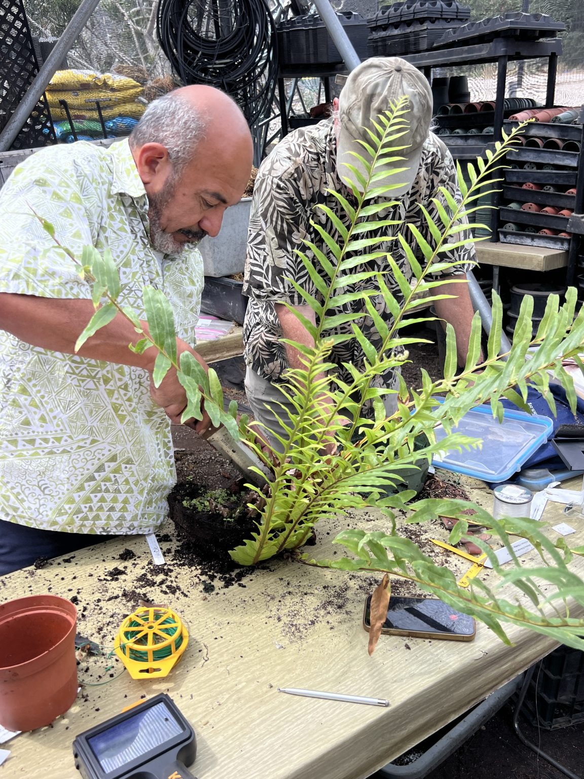 Hands-on workshops