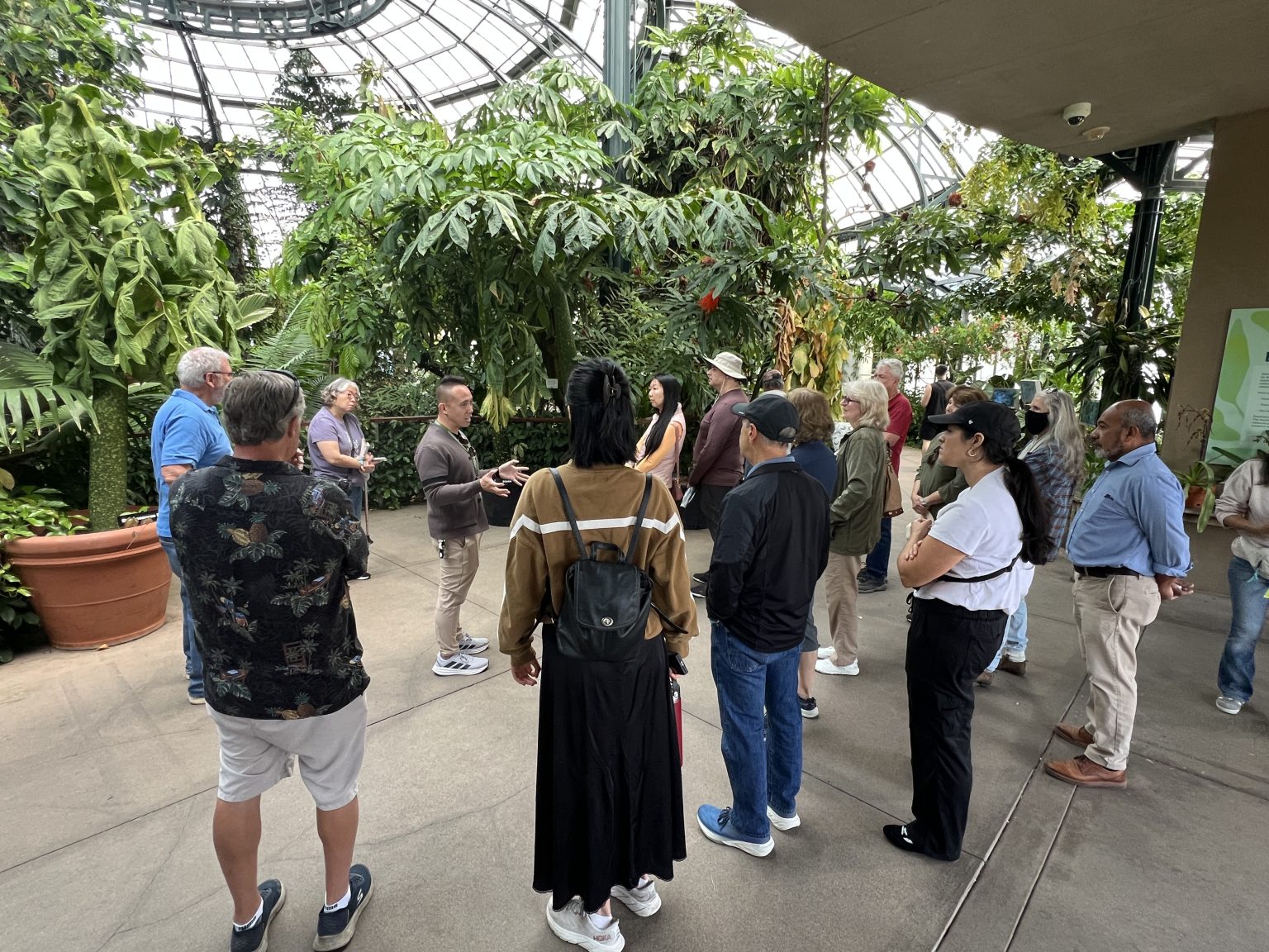 Fern lovers exploring a collection together