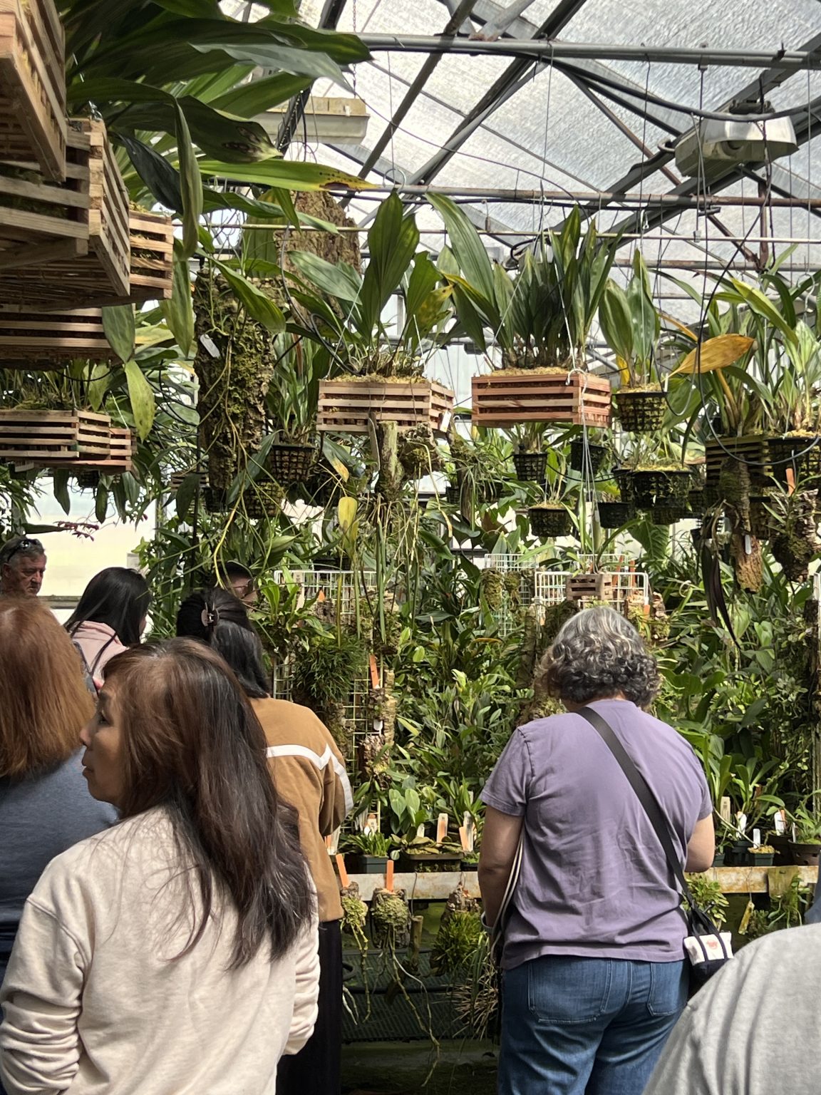Members among the plants on a garden visit