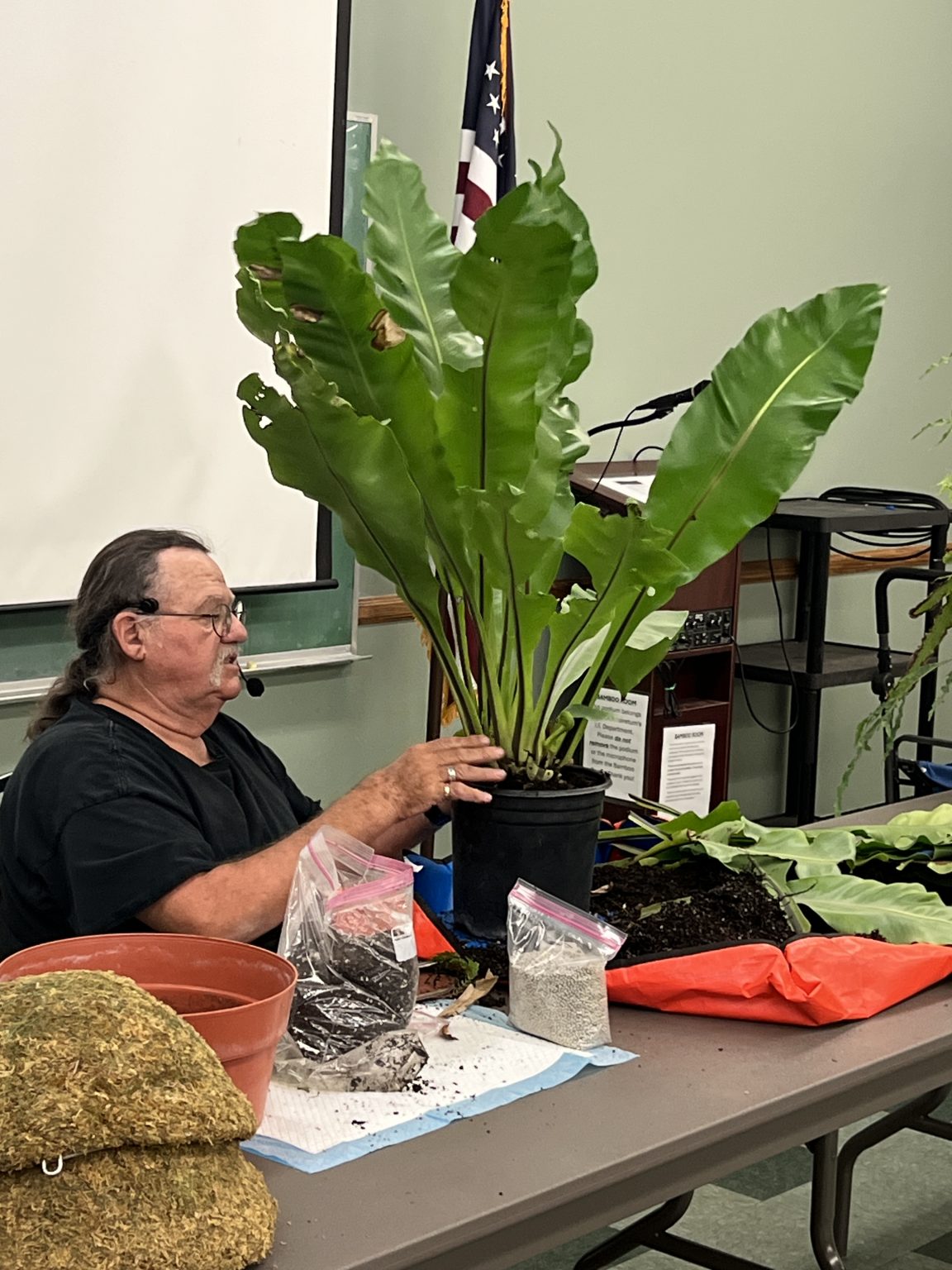 A member demonstrating how to repot a bird’s nest fern at a meeting