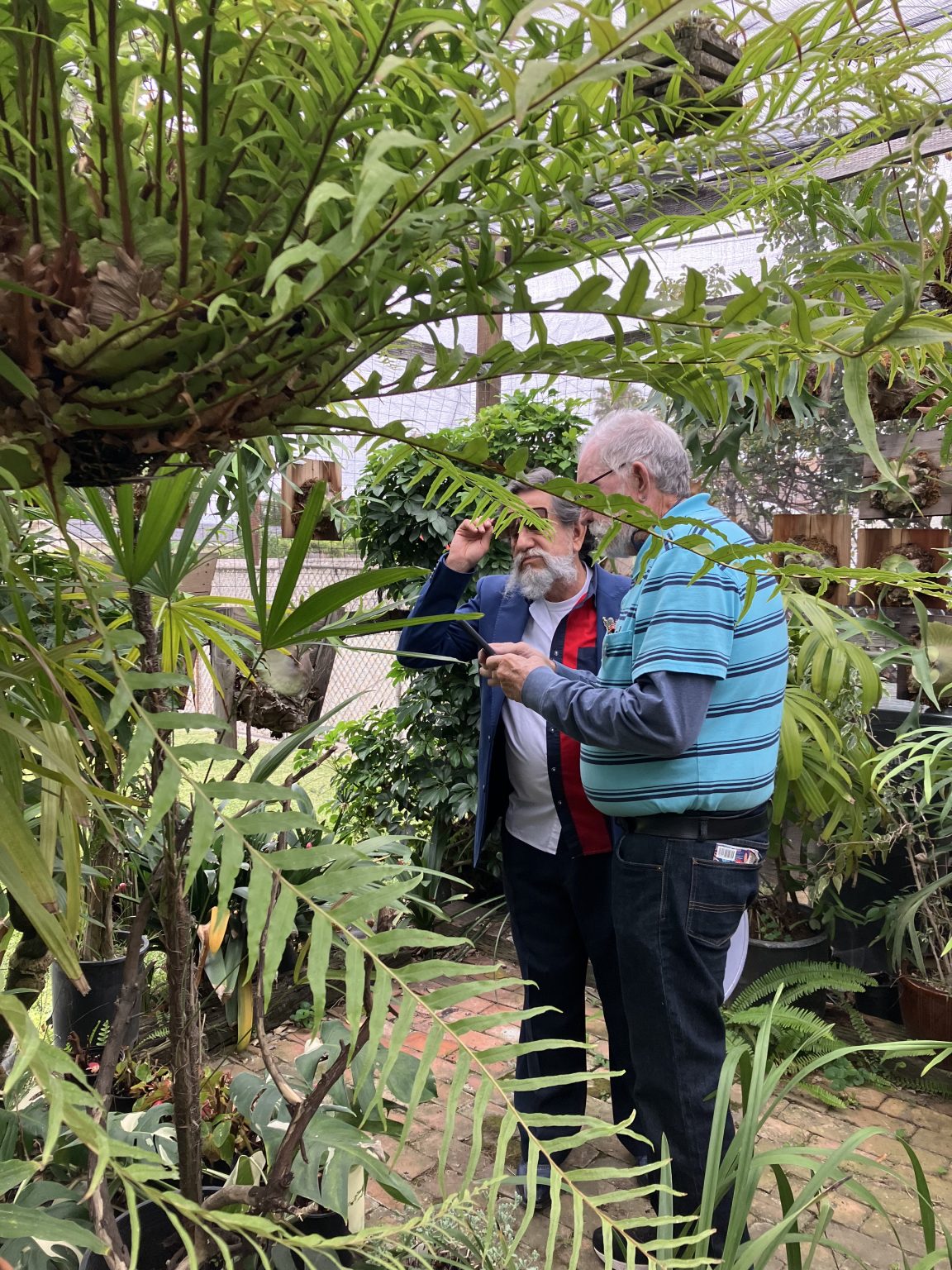 Members exploring a fern-filled member garden