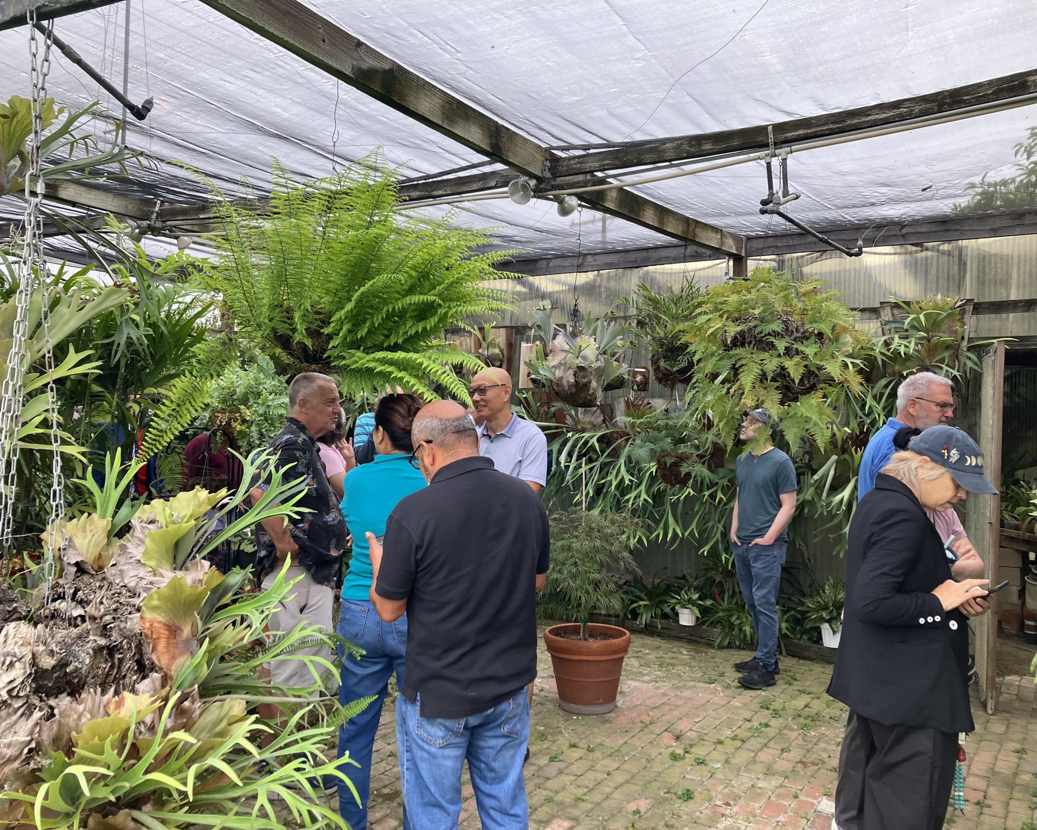 Members touring a fern-filled member garden
