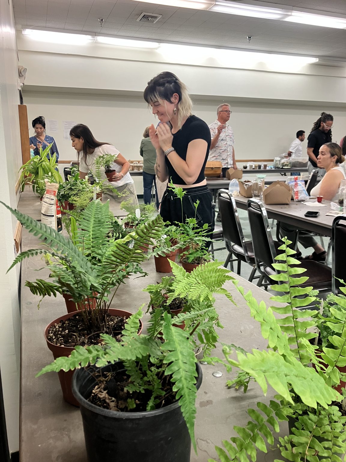 The plant table and raffle
